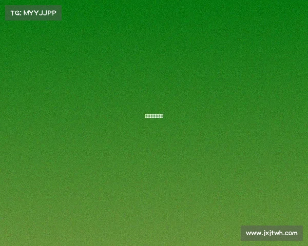 康塔多自创品牌