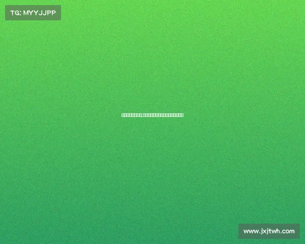 泰拳比赛最高赛事;泰拳巅峰全球赛事王者争霸激情之战